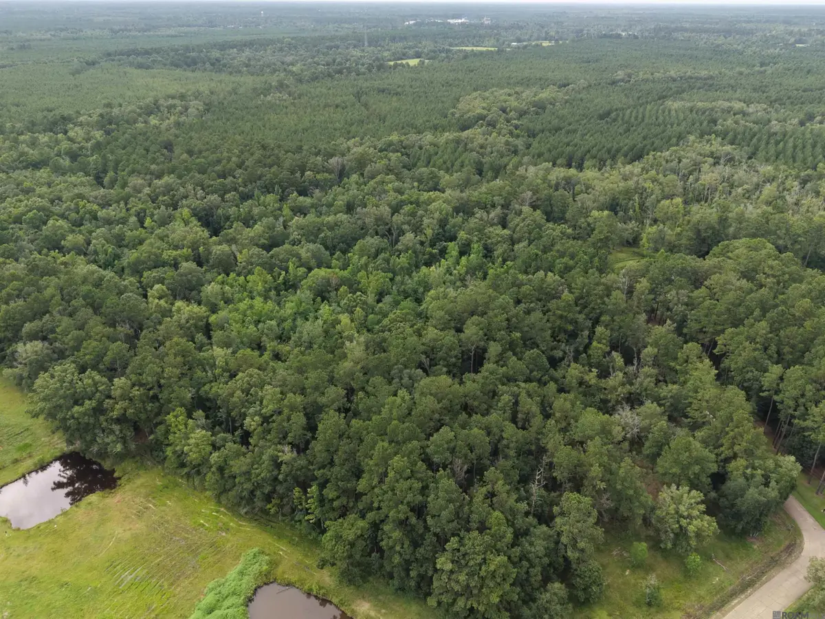 28545 Coker Vail Rd, Holden, LA 70744 - #1