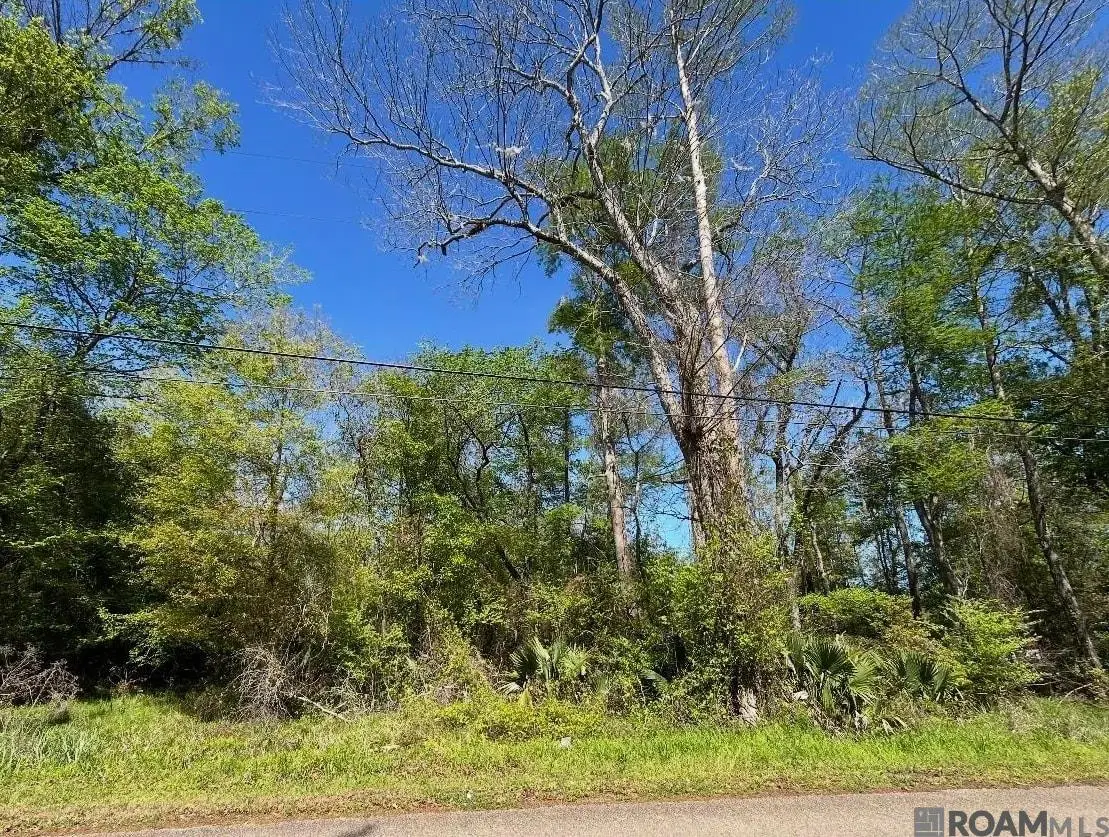 Lot 23 & 24 La Trace Rd, Livingston, LA 70754 - #1