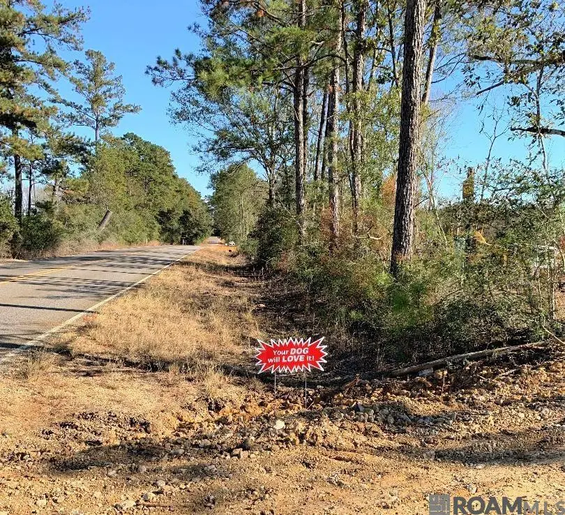 1E La Hwy 63, Clinton, LA 70722 - #1