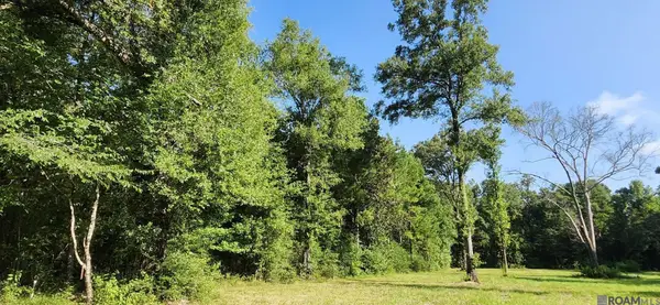 TBD Reames Rd, Zachary, LA 70791