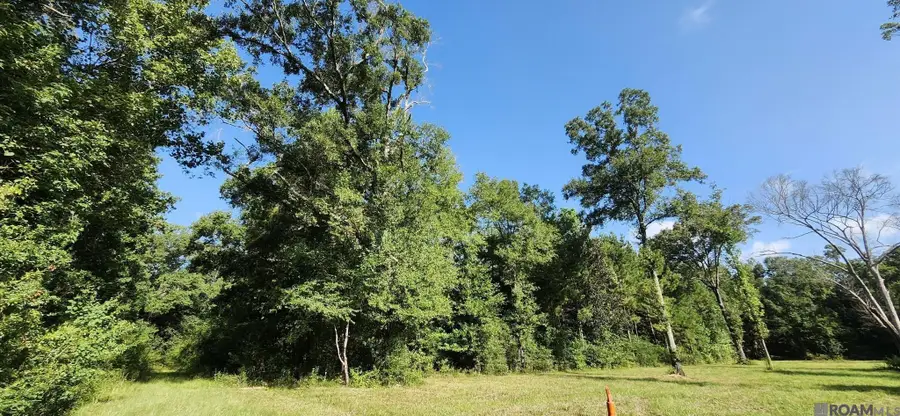 TBD Reames Rd, Zachary, LA 70791 - #2