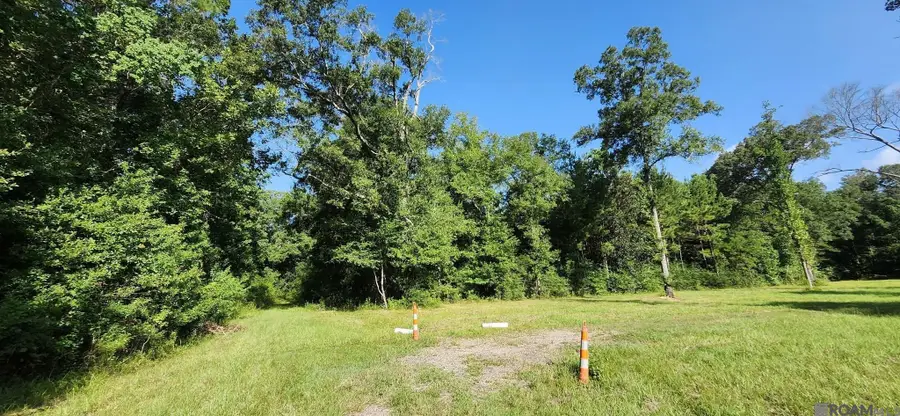 TBD Reames Rd, Zachary, LA 70791 - #3