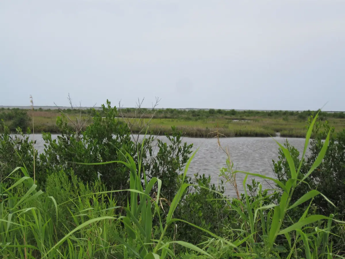 Tbd Highway 1, Leeville, LA 70357 - #1