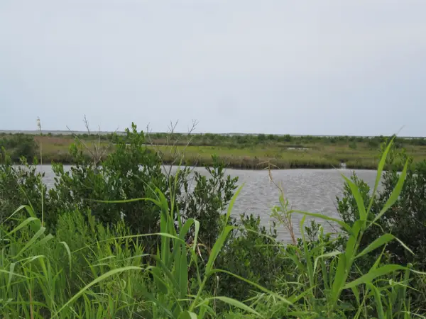 TBD Highway 1, Leeville, LA 70357