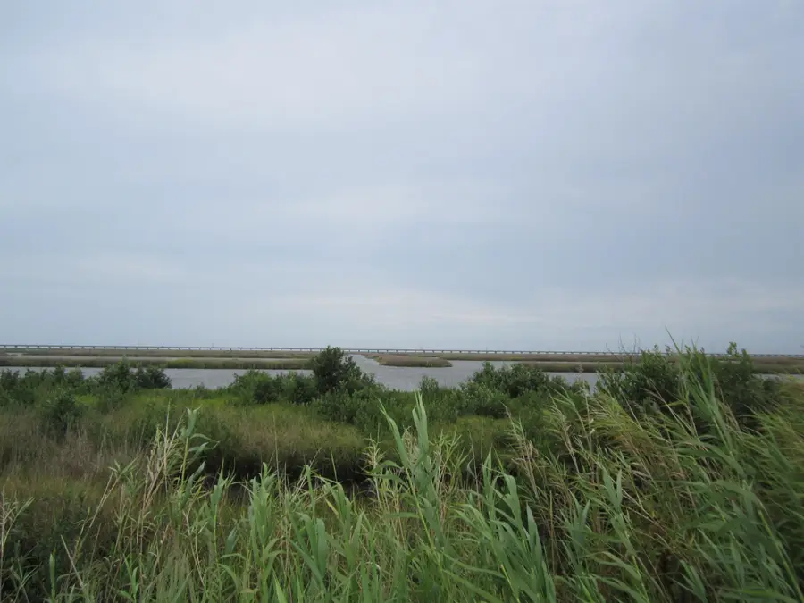 Tbd Highway 1, Leeville, LA 70357 - #3