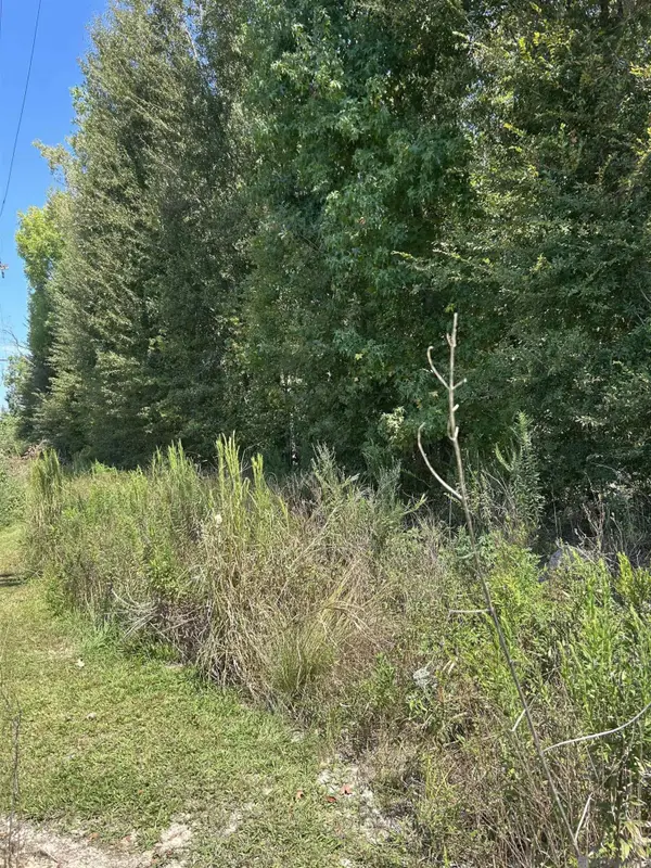 38375 La Hwy 979, Prairieville, LA 70769