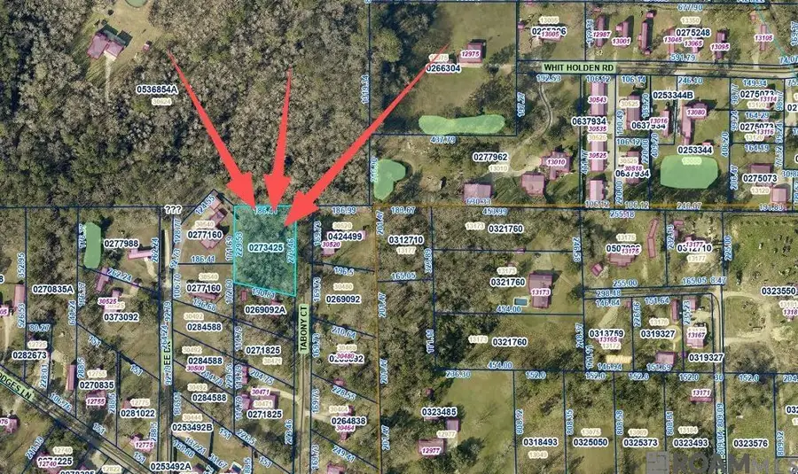 8 Tabony Ct, Walker, LA 70785 - #3