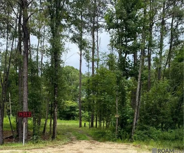 14332 Springfield Rd, Walker, LA 70785