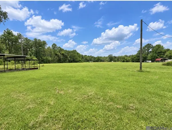 38235 N Walker Rd, Walker, LA 70785