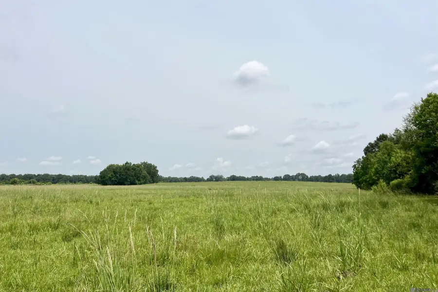 03 Hokaday Rd, Slaughter, LA 70777 - #3