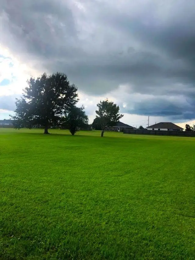 LOT 6 Karen Dr, Lockport, LA 70374 - #2