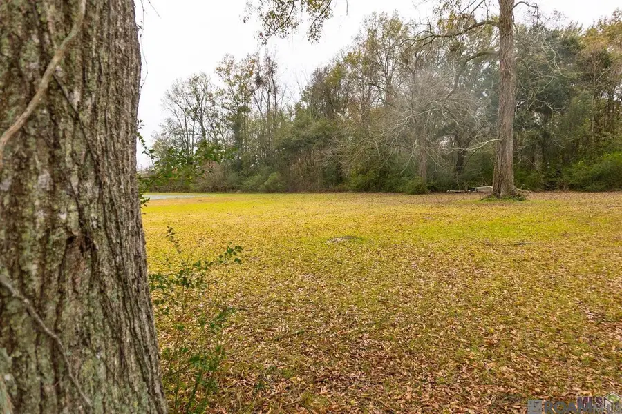 TBD Sam Baker Dr, Geismar, LA 70734 - #3