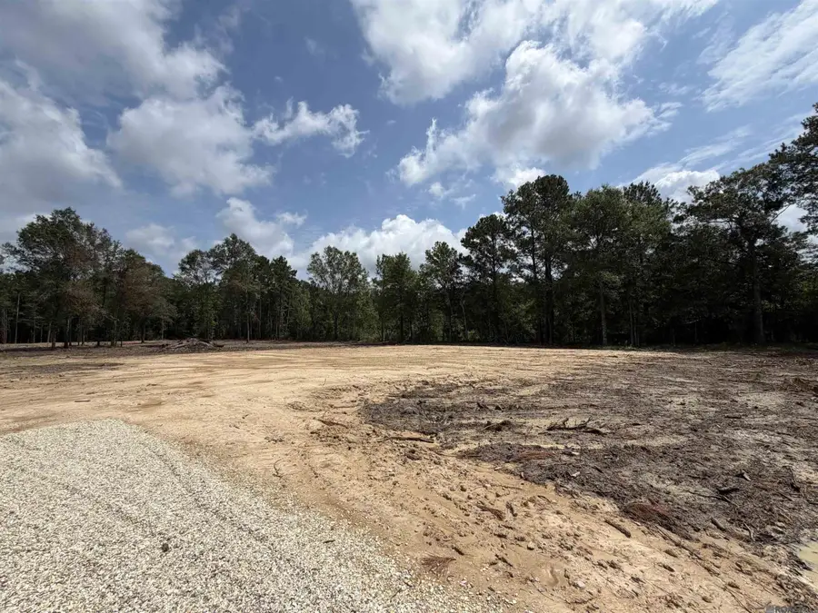 24993 La Hwy 442, Independence, LA 70443 - #3