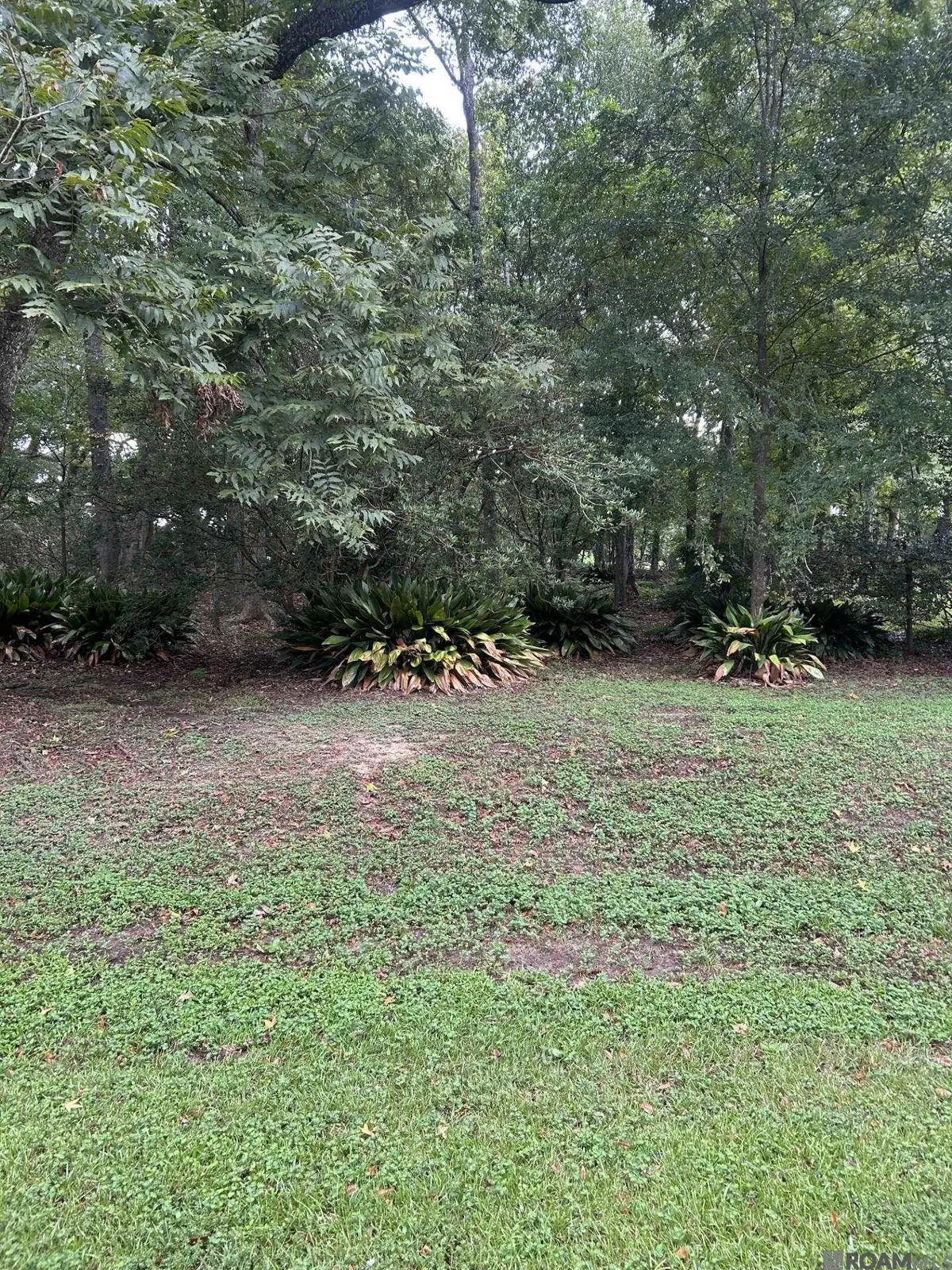 8013 Oakbrook Dr, Oak Hills Place, LA 70817 - #1