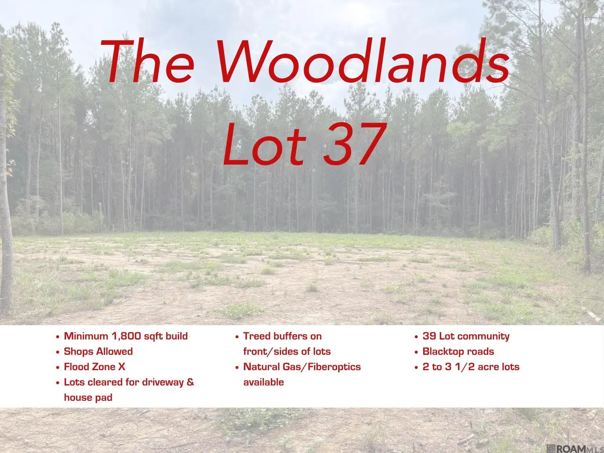 17706 Copper Pass, Livingston, LA 70754 - #1