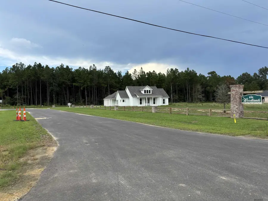 17706 Copper Pass, Livingston, LA 70754 - #3