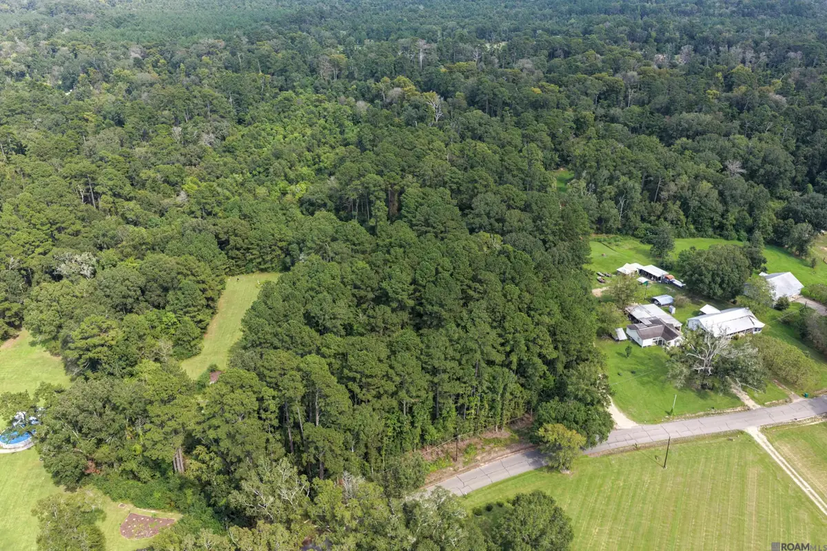TBD N Doyle Rd, Holden, LA 70744 - #1