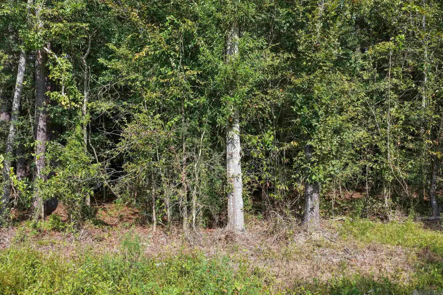 TBD N Doyle Rd, Holden, LA 70744 - #2