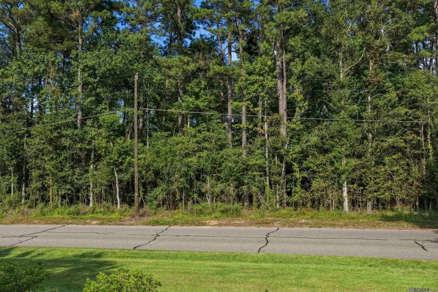 TBD N Doyle Rd, Holden, LA 70744 - #3