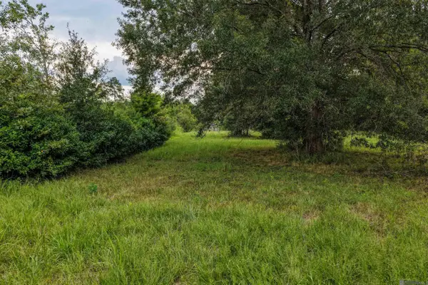 11103 Buddy Ellis Rd, Denham Springs, LA 70726
