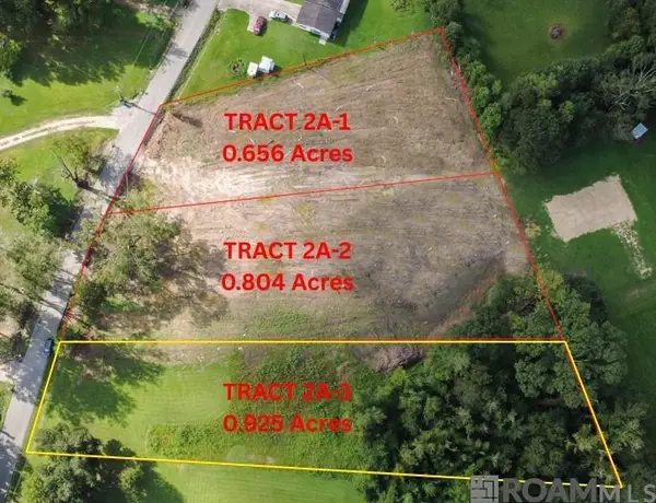Tract 2A-3 Muddy Creek Rd, Prairieville, LA 70769