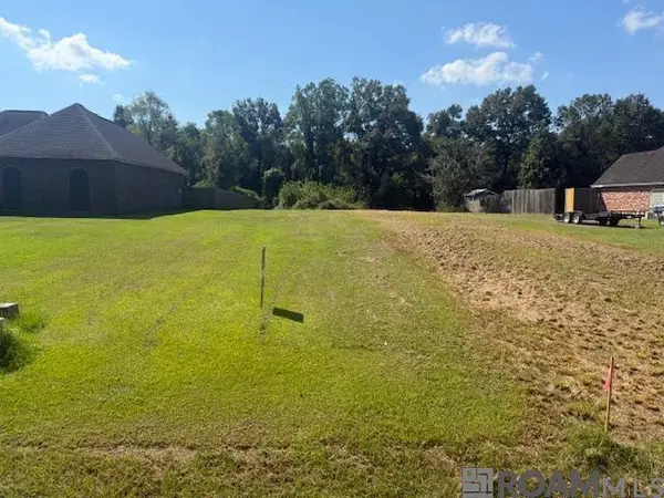 12844 Pendarvis Ln, Walker, LA 70785