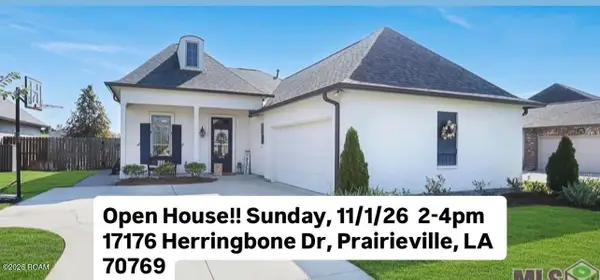 17176 Herringbone Dr, Prairieville, LA 70769