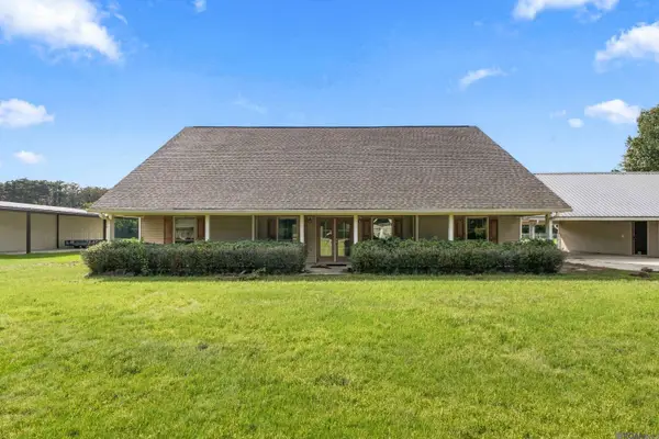 14979 Picou Rd, Maurepas, LA 70449
