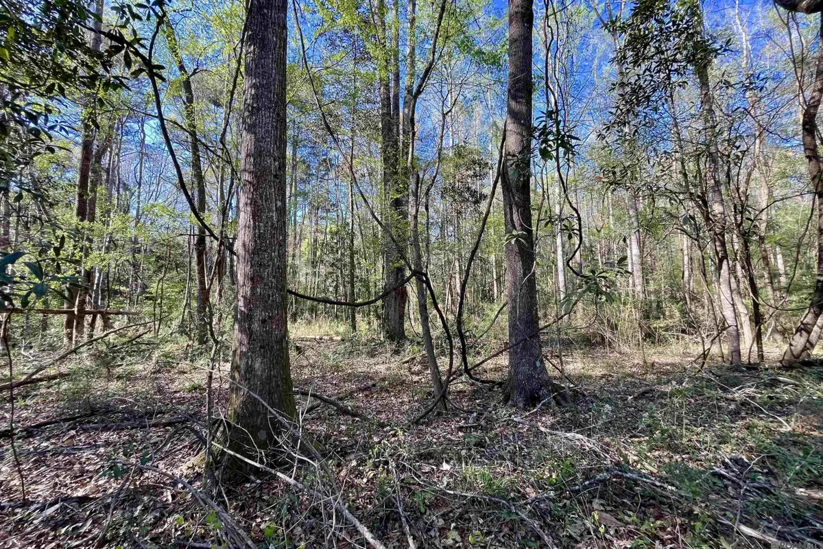 40 Lillian Ln, Ethel, LA 70730 - #1