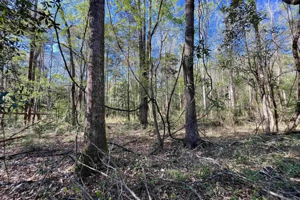 40 Lillian Ln, Ethel, LA 70730