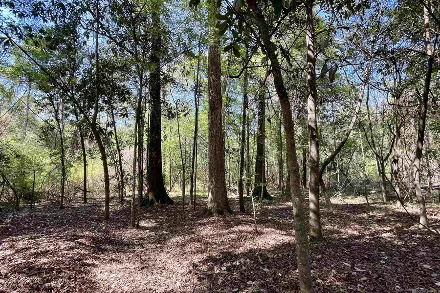 40 Lillian Ln, Ethel, LA 70730 - #3