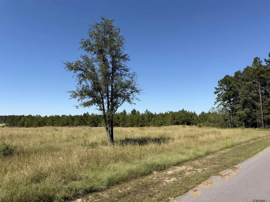 Lot 12 Hidden Oaks Ln, Pine Grove, LA 70453 - #3