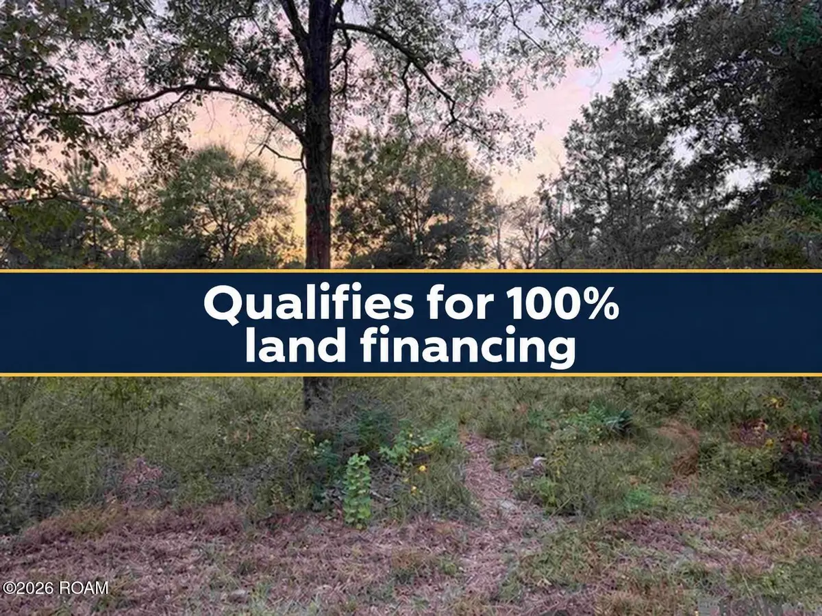 Rl9-b Phillip Richardson Rd, Holden, LA 70744 - #1