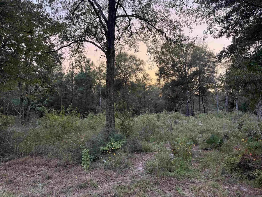 Rl9-b Phillip Richardson Rd, Holden, LA 70744 - #2