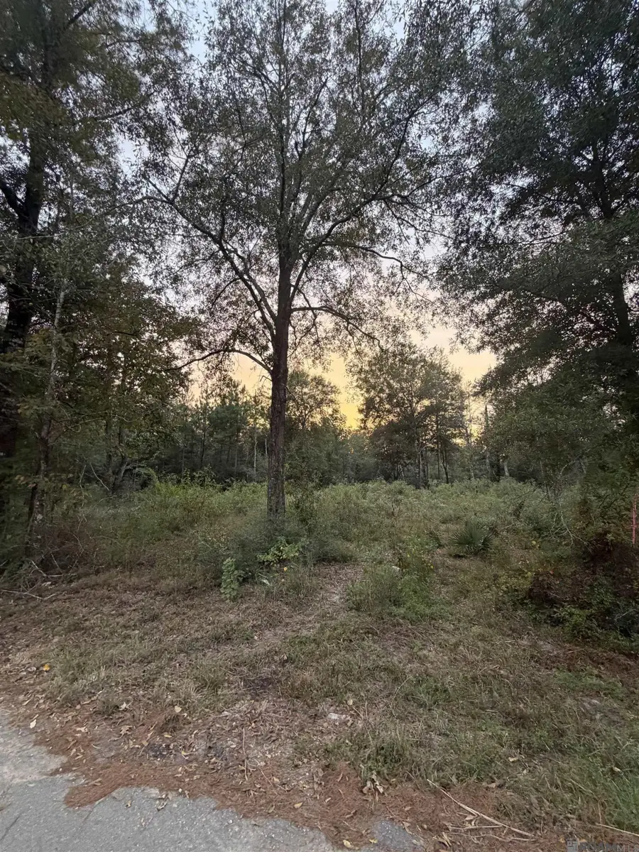 Rl9-b Phillip Richardson Rd, Holden, LA 70744 - #3