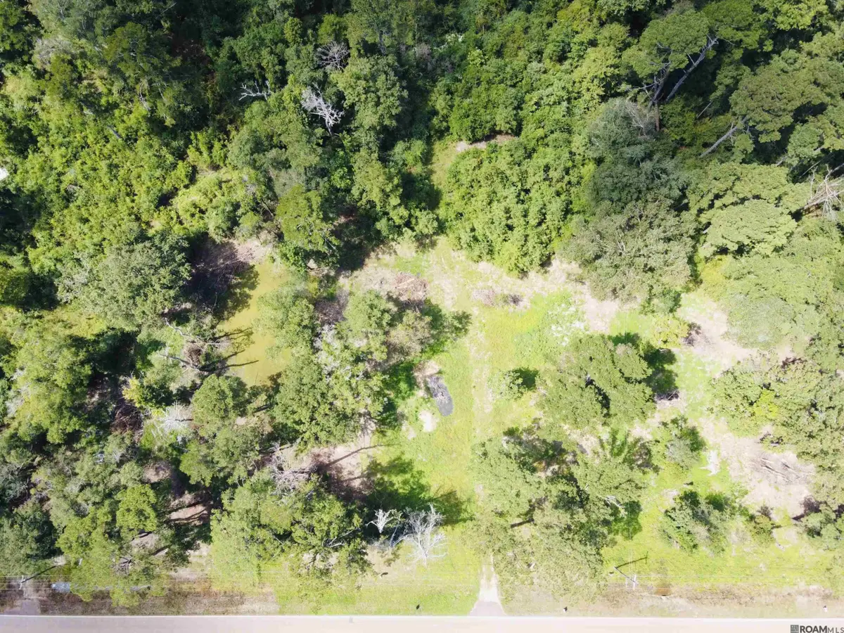 31483 La Hwy 1036, Holden, LA 70744 - #1