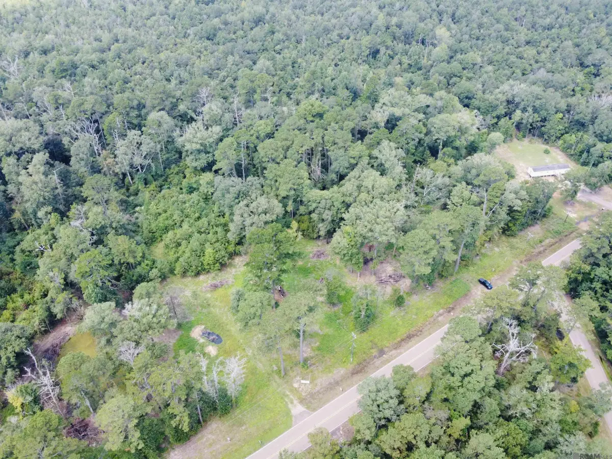 31519 La Hwy 1036, Holden, LA 70744 - #1