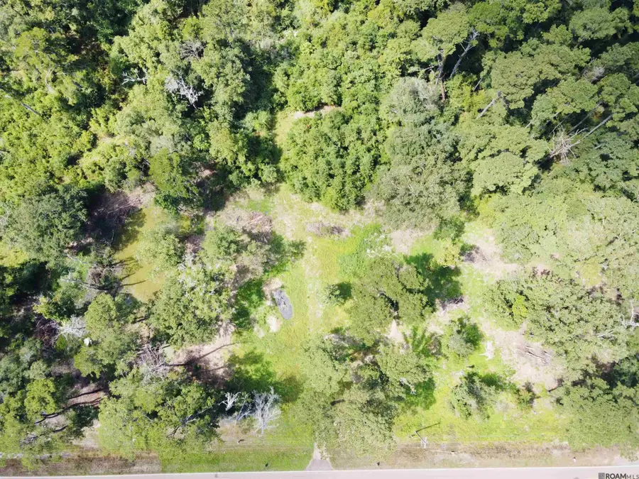 31519 La Hwy 1036, Holden, LA 70744 - #2