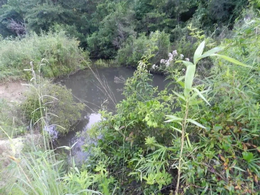 Address Withheld By Seller, Bush, LA 70431 - Image #2