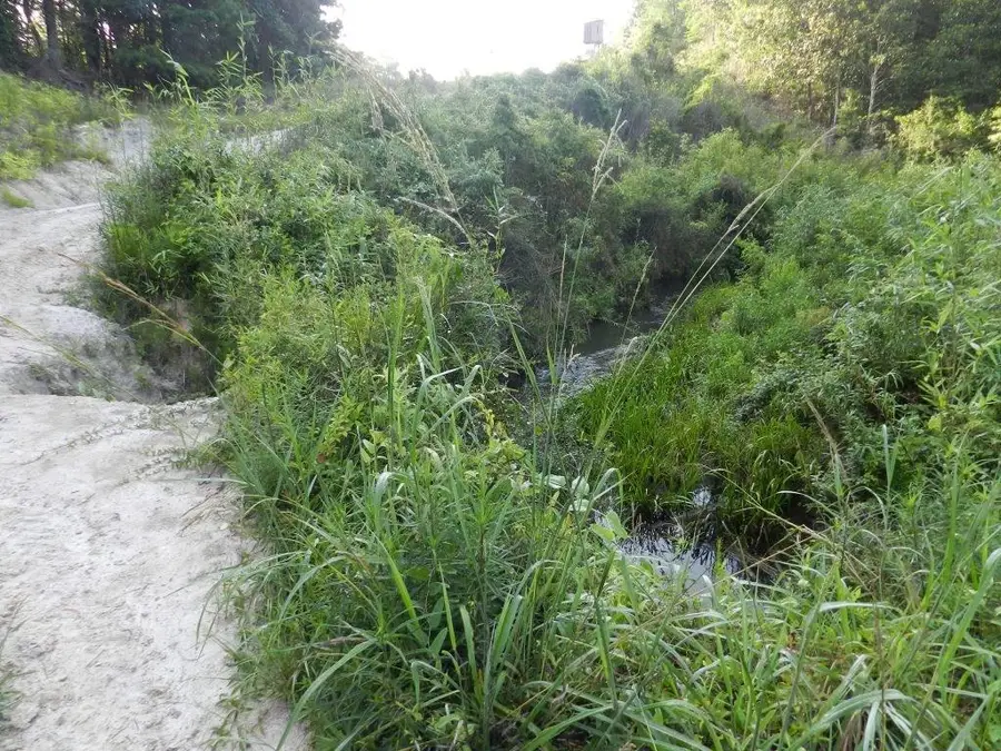 Address Withheld By Seller, Bush, LA 70431 - Image #3