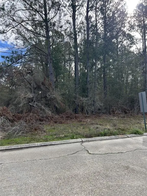 131 Robin Hood Drive, Hammond, LA 70403 - #2