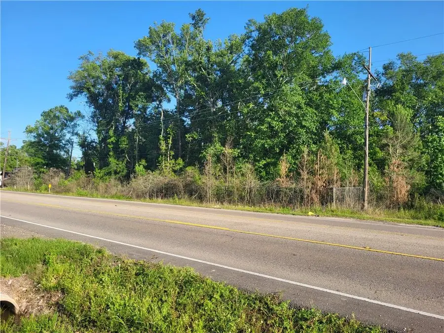 9.88 acres E Highway 190 Highway, Hammond, LA 70401 - Image #3