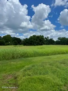 03 E Prudhomme Street, Opelousas, LA 70570 - #2