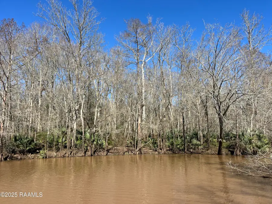 Tract 4 S Levee Rd, Krotz Springs, LA 70750 - #2
