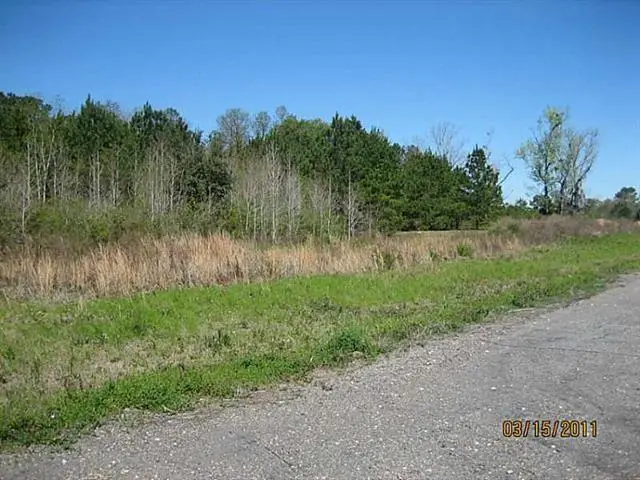 12173 W Hwy 190, Hammond, LA 70401 - Image #3