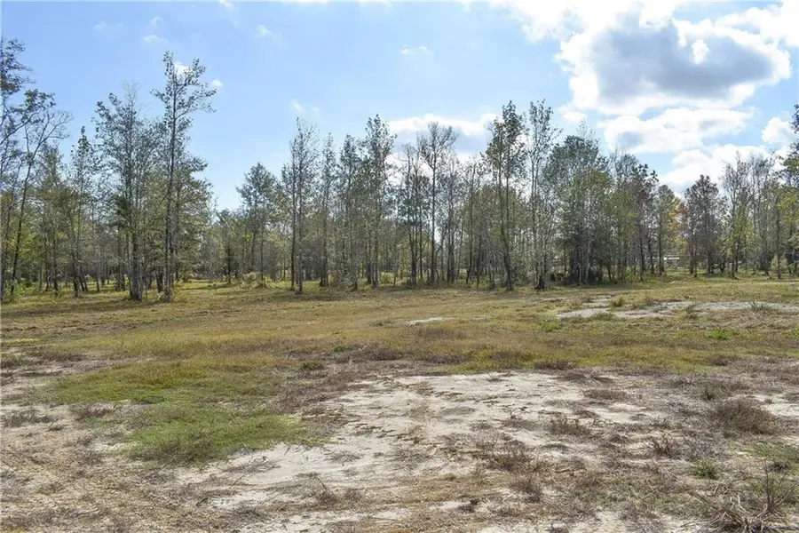 N Range Road, Livingston, LA 70754 - Image #3