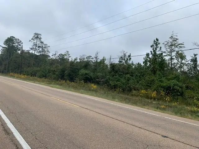 0 Highway 22 & 445 Highway, Ponchatoula, LA 70454 - Image #3