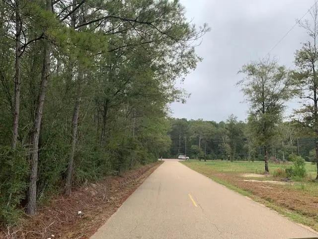 C-2 Highway 445 Highway, Robert, LA 70455 - #1