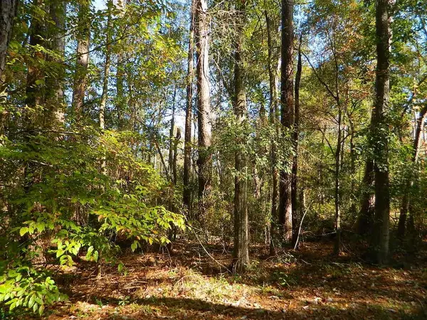 Lots 160-164 Bogue Falaya Drive, Covington, LA 70433