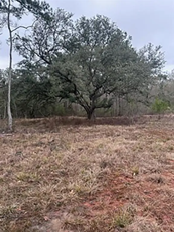 Tract JB-4 George White Road, Holden, LA 70744